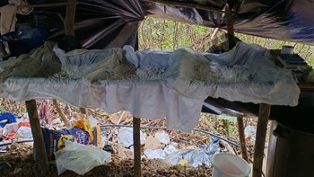 Ejército desmanteló un laboratorio clandestino