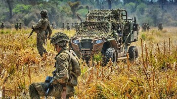 El nuevo servicio militar voluntario