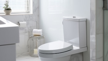 ¿Ir al baño sin tener