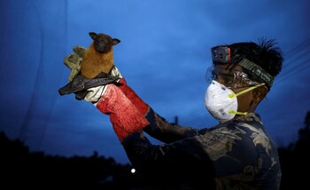 Las zoonosis engloba más de