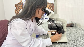 De Salta al mundo: cómo