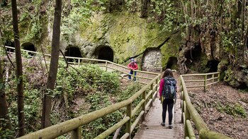 Tenerife ofrece una amplia variedad