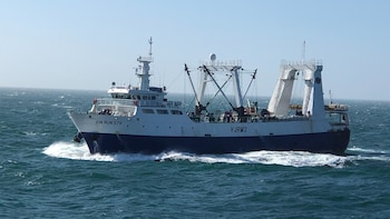 Calentamiento global, sobrepesca y falta